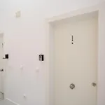 Colón 29 *